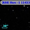 [K80] Herc-1 11433