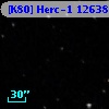 [K80] Herc-1 12638