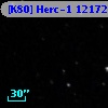 [K80] Herc-1 12172
