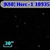 [K80] Herc-1 10935