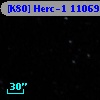 [K80] Herc-1 11069