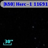 [K80] Herc-1 11691