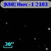 [K80] Herc-1  2103