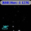 [K80] Herc-1  1276
