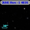 [K80] Herc-1  4038