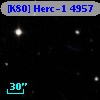 [K80] Herc-1  4957