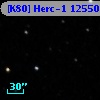 [K80] Herc-1 12550