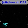 [K80] Herc-1  1273
