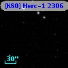 [K80] Herc-1  2306