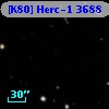 [K80] Herc-1  3688