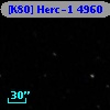 [K80] Herc-1  4960