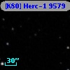 [K80] Herc-1  9579