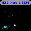 [K80] Herc-1  9324