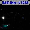 [K80] Herc-1  8249