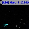 [K80] Herc-1 12549