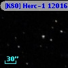 [K80] Herc-1 12016