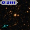 CF 13981