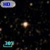 HD 141981