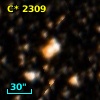 C* 2309