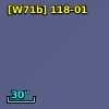 C* 2313