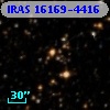 IRAS 16169-4416