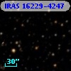 IRAS 16229-4247
