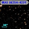 IRAS 16254-4237