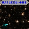 IRAS 16231-4436