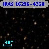IRAS 16286-4250