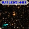IRAS 16267-4437