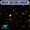 IRAS 16236-4459