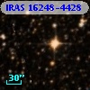 IRAS 16248-4428