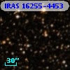 IRAS 16255-4453