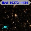 IRAS 16272-4438