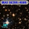 IRAS 16288-4509