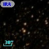 IRAS 16310-4459