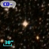 CD-44 10952