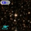 CD-44 10985