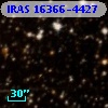 IRAS 16366-4427