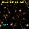 IRAS 16367-4411