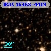 IRAS 16368-4419