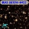 IRAS 16374-4422