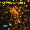 NAME ARA CLUSTER