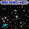 IRAS 16462-4432