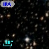IRAS 16419-4537