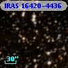 IRAS 16420-4436