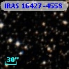 IRAS 16427-4558