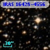 IRAS 16428-4556