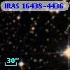 IRAS 16438-4436
