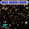 IRAS 16439-4429